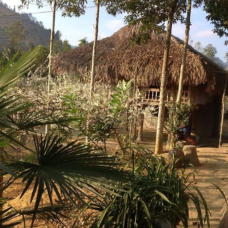 Sa House Bac Ha Apartment ภายนอก รูปภาพ