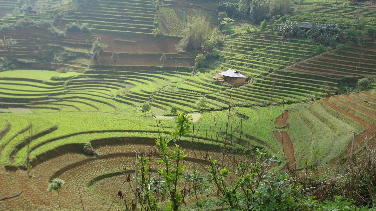 Sa House Bac Ha Apartment ภายนอก รูปภาพ