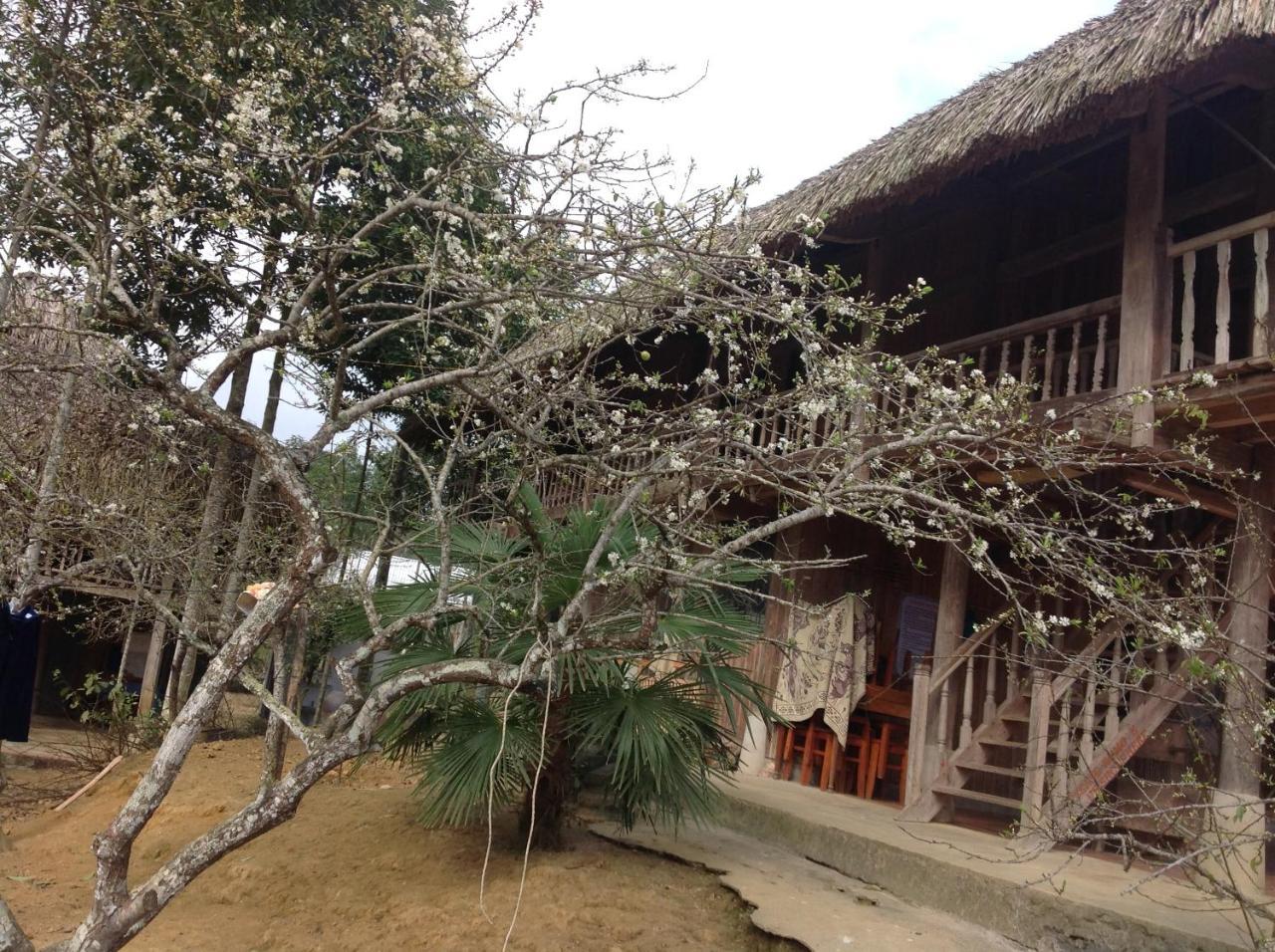 Sa House Bac Ha Apartment ภายนอก รูปภาพ