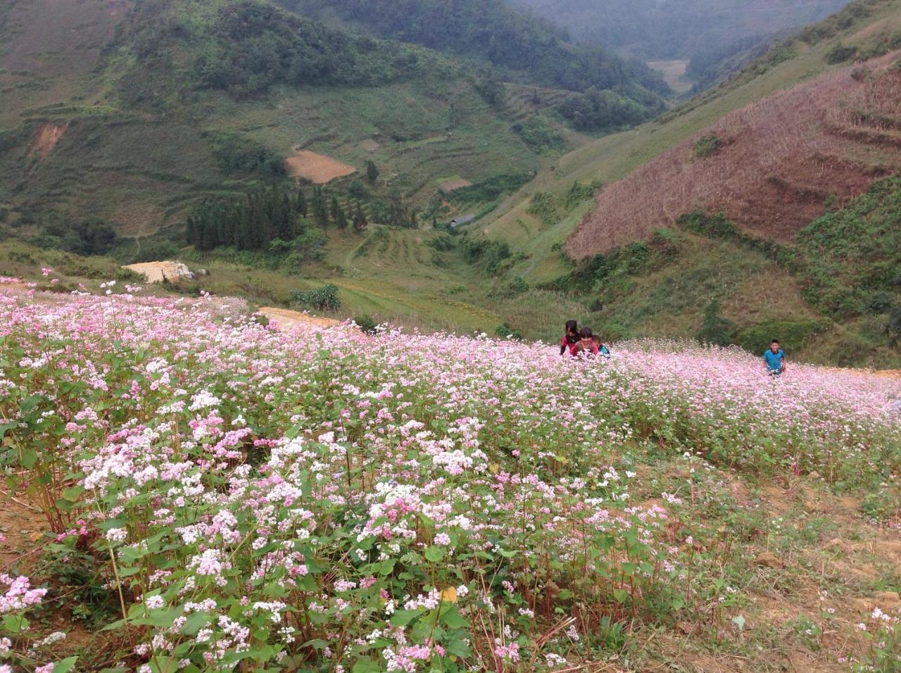 Sa House Bac Ha Apartment ภายนอก รูปภาพ