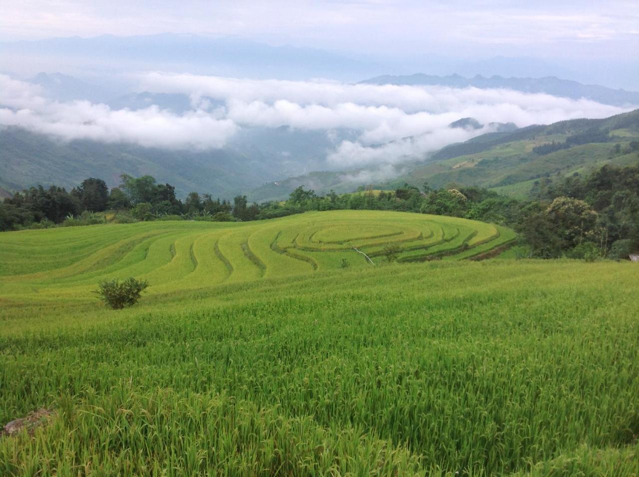 Sa House Bac Ha Apartment ภายนอก รูปภาพ